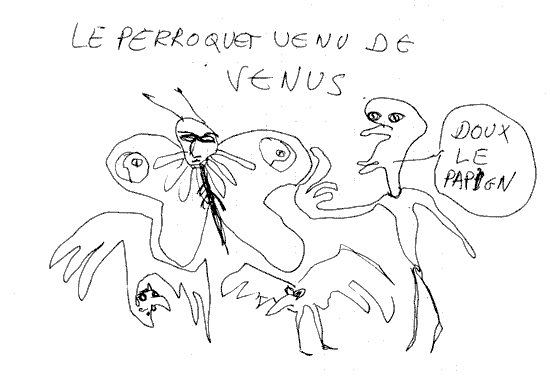 Le perroquet venus de Venus