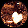 coeur_sacre.jpg (8K)